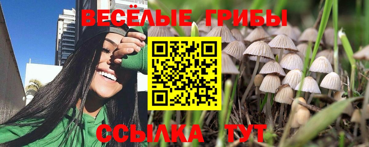 Барнаул  Галлюциногенные грибы Psilocybine cubensis  Псилоцибиновые грибы Cubensis  Вход с VPN 